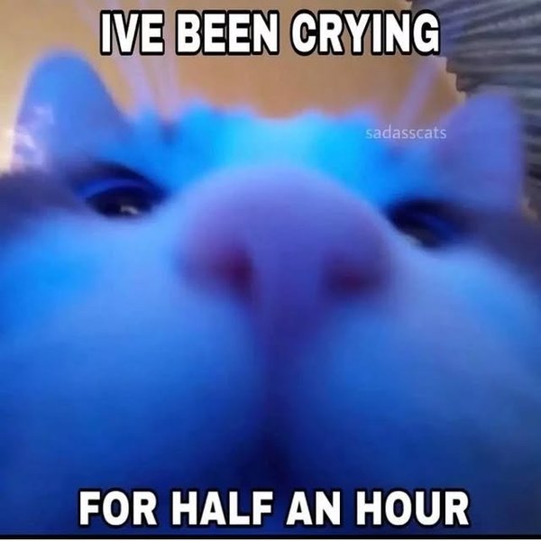 Thumbnail of p-cktnz2upruu-2ff5cd4089304ffe 5