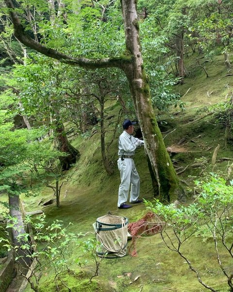 Thumbnail of p-dbebiy1n2a2-3009b97bde874adb 0