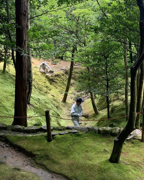 Thumbnail of p-dbebiy1n2a2-3009b97bde874adb 1