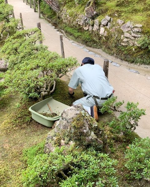 Thumbnail of p-dbebiy1n2a2-3009b97bde874adb 10