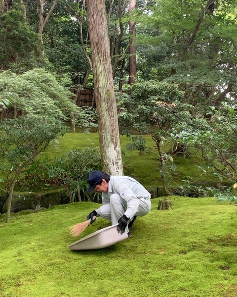 Thumbnail of p-dbebiy1n2a2-3009b97bde874adb 2