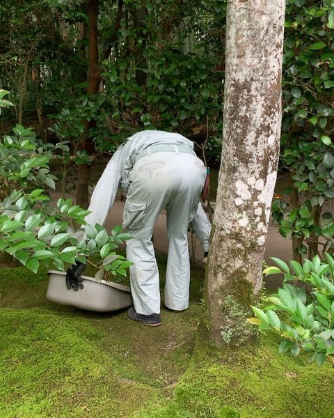 Thumbnail of p-dbebiy1n2a2-3009b97bde874adb 3