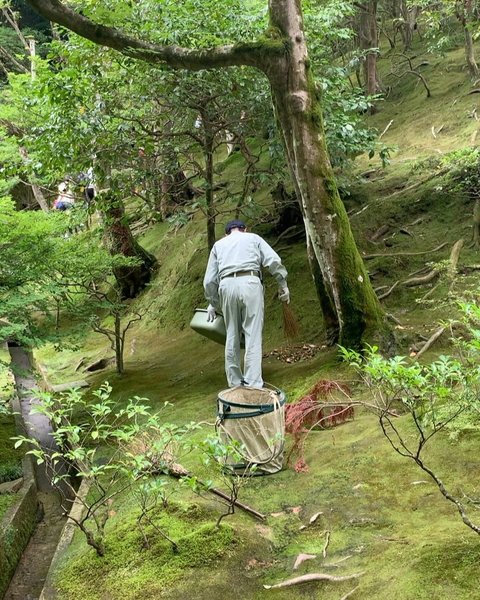 Thumbnail of p-dbebiy1n2a2-3009b97bde874adb 4