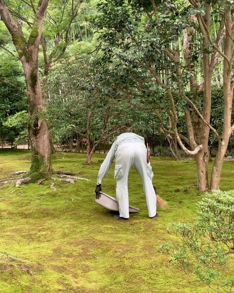 Thumbnail of p-dbebiy1n2a2-3009b97bde874adb 5