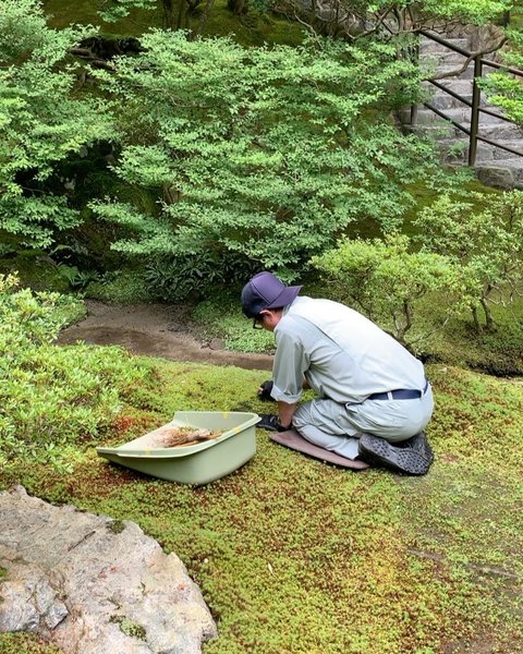 Thumbnail of p-dbebiy1n2a2-3009b97bde874adb 6