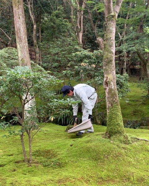 Thumbnail of p-dbebiy1n2a2-3009b97bde874adb 7