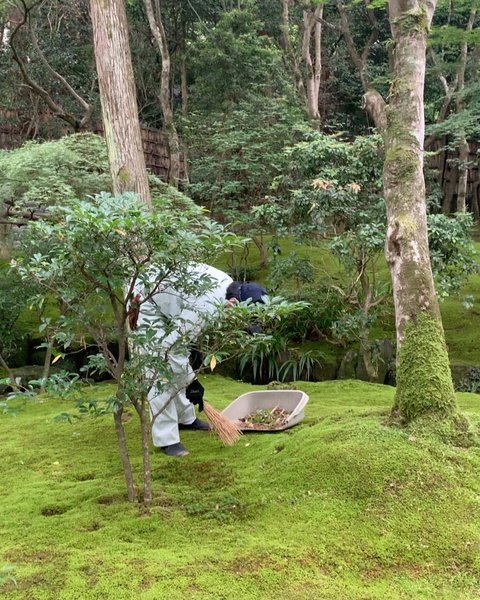 Thumbnail of p-dbebiy1n2a2-3009b97bde874adb 8