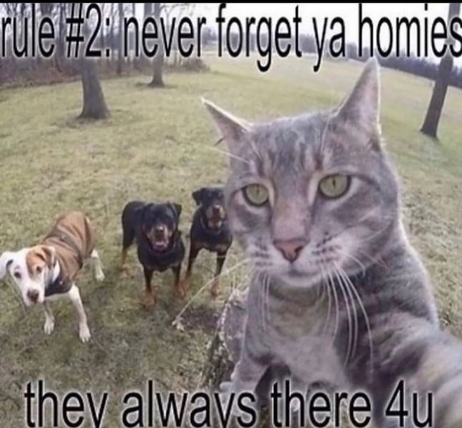 Thumbnail of p-cwtye6ztqtv-302d618b39074e10 1