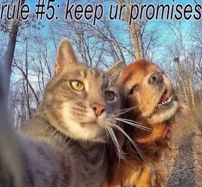Thumbnail of p-cwtye6ztqtv-302d618b39074e10 4