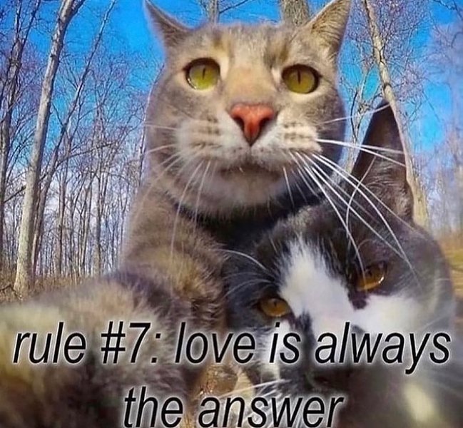 Thumbnail of p-cwtye6ztqtv-302d618b39074e10 6