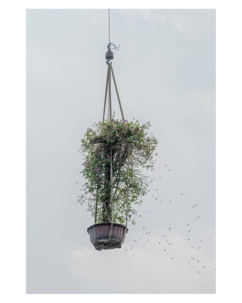 Thumbnail of p-cgfhaqtpeix-303b7225be2a4c30 0