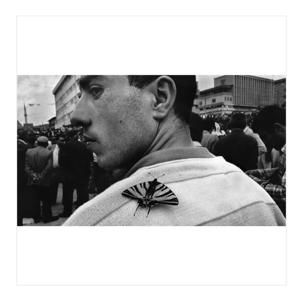 Thumbnail of p-cp7ny51rtup-305e7b5242944522 2