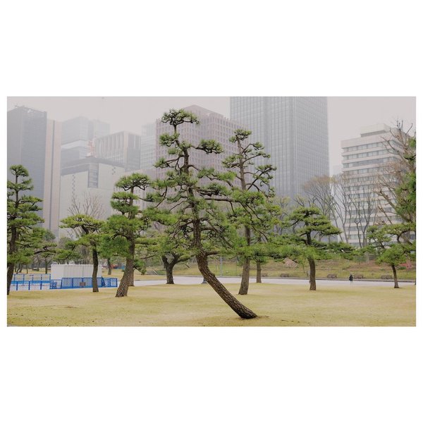 Thumbnail of p-b46af3wj9d0-308bbcd28d734a40 0