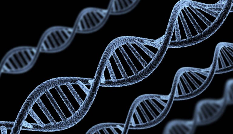 Thumbnail of www-x-com-dani-pellicer-status-1710933439153664200-30b1f0943c8743ab