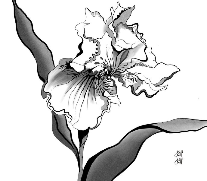 Thumbnail of p-cu8at7jg1lo-30c89ad1ceea4352 0