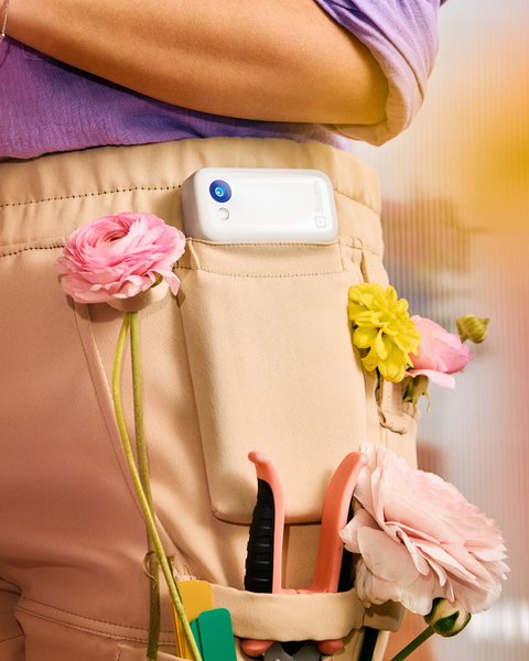 Thumbnail of p-dlde5mdvji-30cf88e45ab54223 9