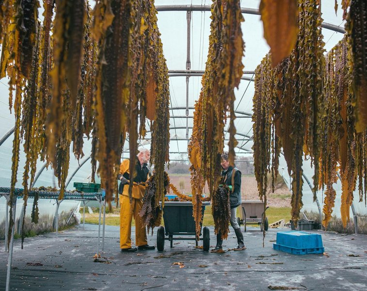 Thumbnail of p-cnpf8x1njnk-3123ce2d64ad4569 1