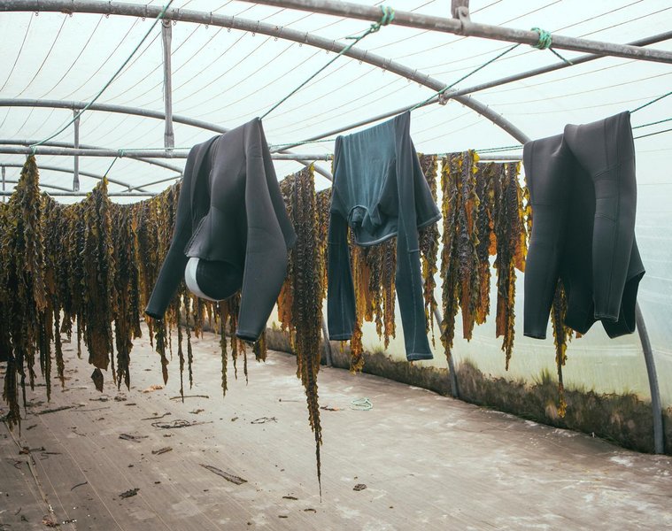 Thumbnail of p-cnpf8x1njnk-3123ce2d64ad4569 4