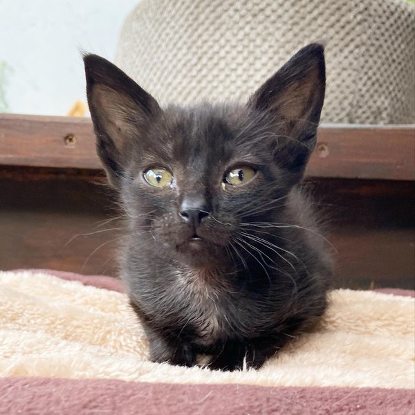 Thumbnail of p-cxfiwgqjxr4-3126b97a272445d1 3