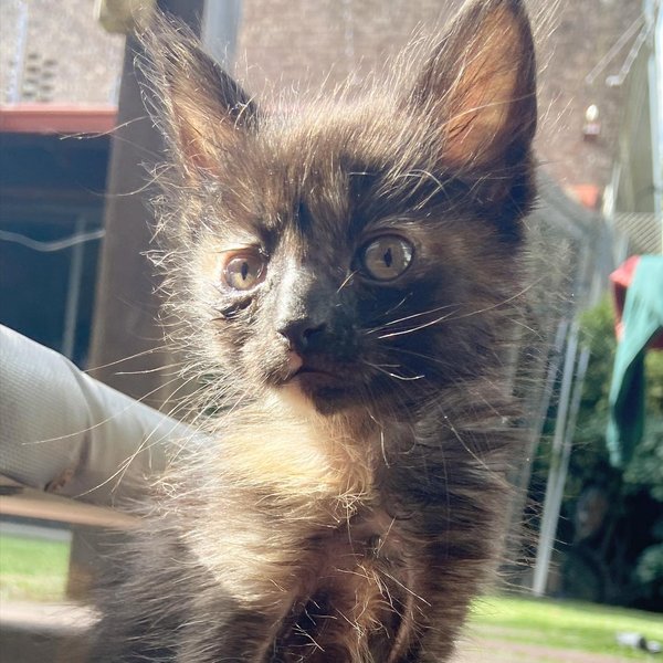 Thumbnail of p-cxfiwgqjxr4-3126b97a272445d1 4