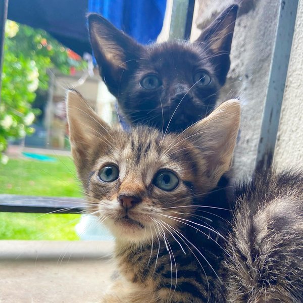 Thumbnail of p-cxfiwgqjxr4-3126b97a272445d1 6