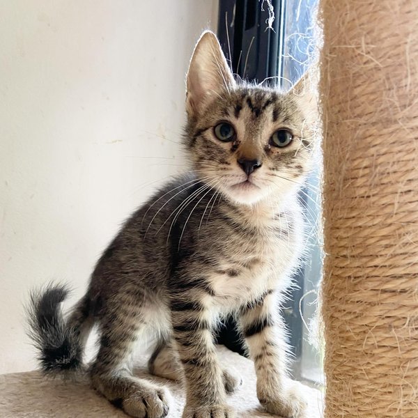 Thumbnail of p-cxfiwgqjxr4-3126b97a272445d1 7