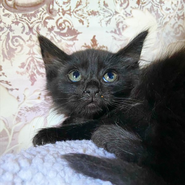 Thumbnail of p-cxfiwgqjxr4-3126b97a272445d1 9