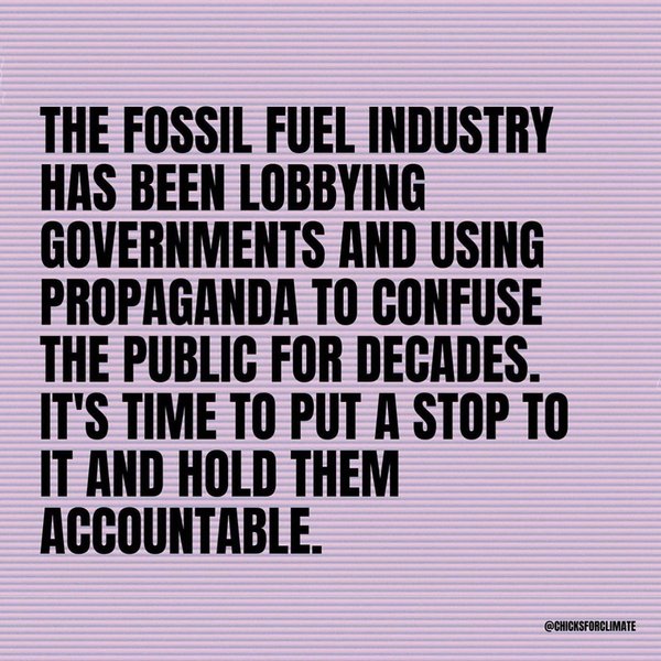 Thumbnail of p-cest19agcam-3136b409186d4cbf 4