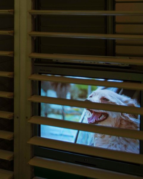 Thumbnail of p-ct36iwaqskf-31571ebaa4434aec 3