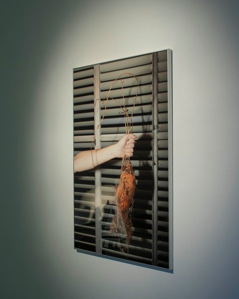 Thumbnail of p-ct36iwaqskf-31571ebaa4434aec 5