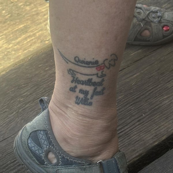 Thumbnail of p-cucigazuk8w-3169f6f9bf1f4d6a 3