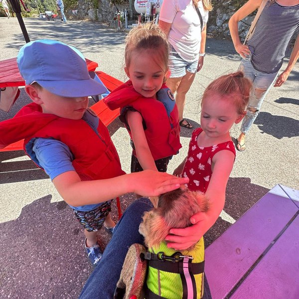 Thumbnail of p-cucigazuk8w-3169f6f9bf1f4d6a 5