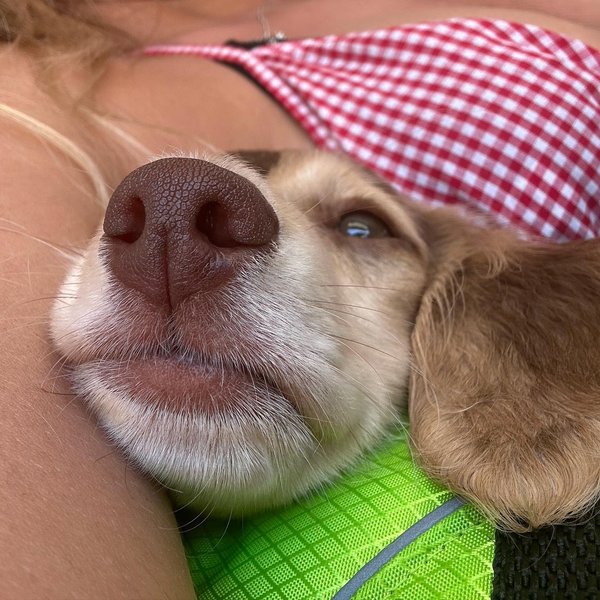 Thumbnail of p-cucigazuk8w-3169f6f9bf1f4d6a 7