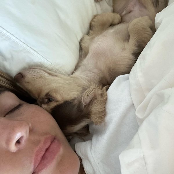 Thumbnail of p-cucigazuk8w-3169f6f9bf1f4d6a 9