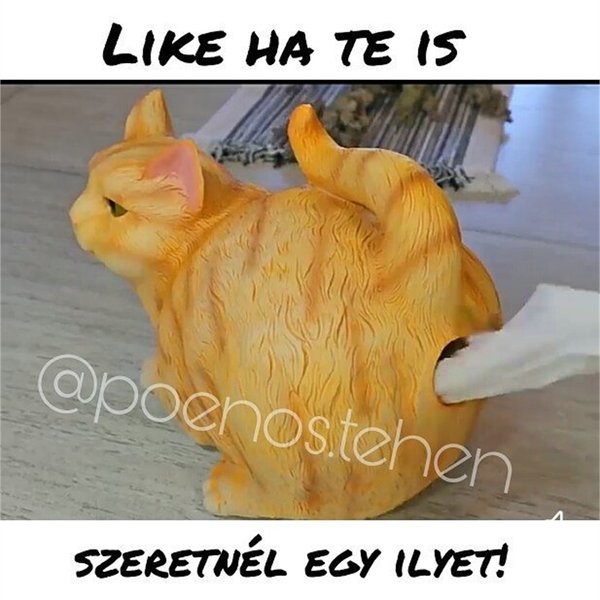 Thumbnail of p-bqhpoxwgkrl-3170b72669d8403a 1