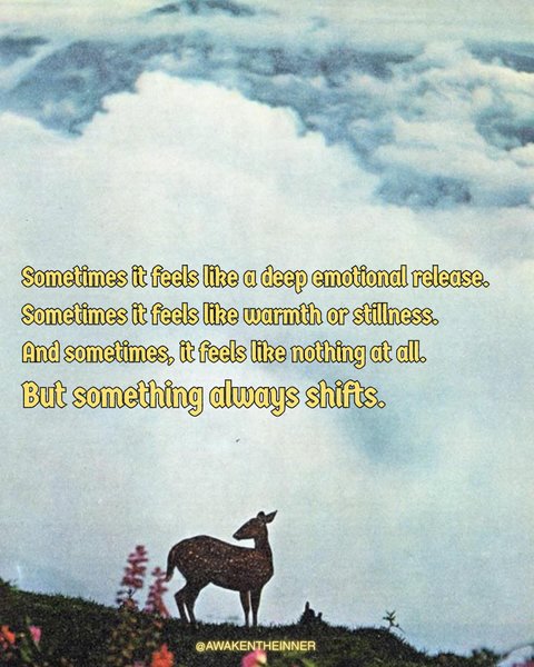 Thumbnail of p-dmiw0o8oh1h-3184aeb7b5654999 5