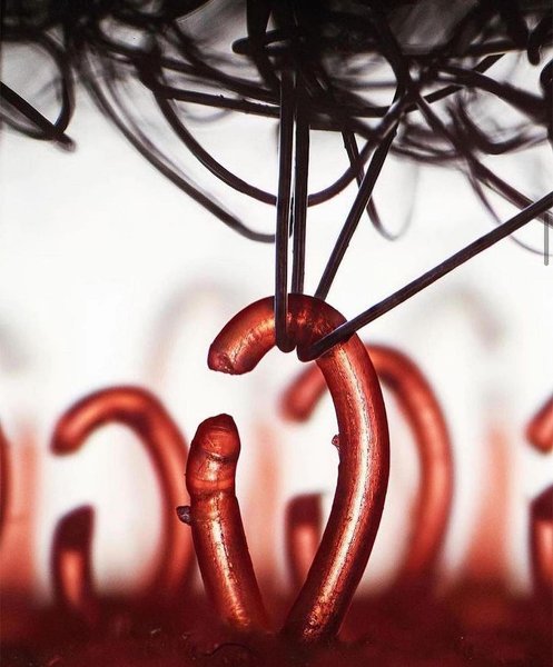 Thumbnail of cxas-gcmrph 0