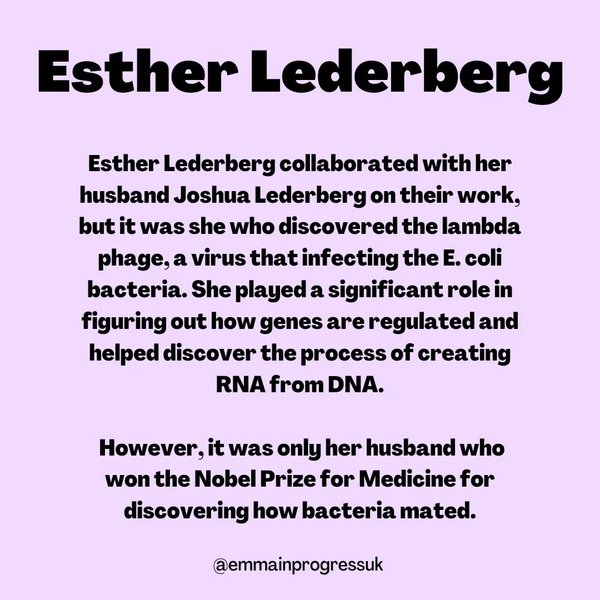 Thumbnail of p-cpgb9jwiybk-31f3b8f24d45412c 6