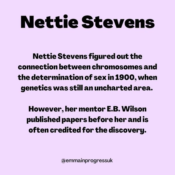 Thumbnail of p-cpgb9jwiybk-31f3b8f24d45412c 8