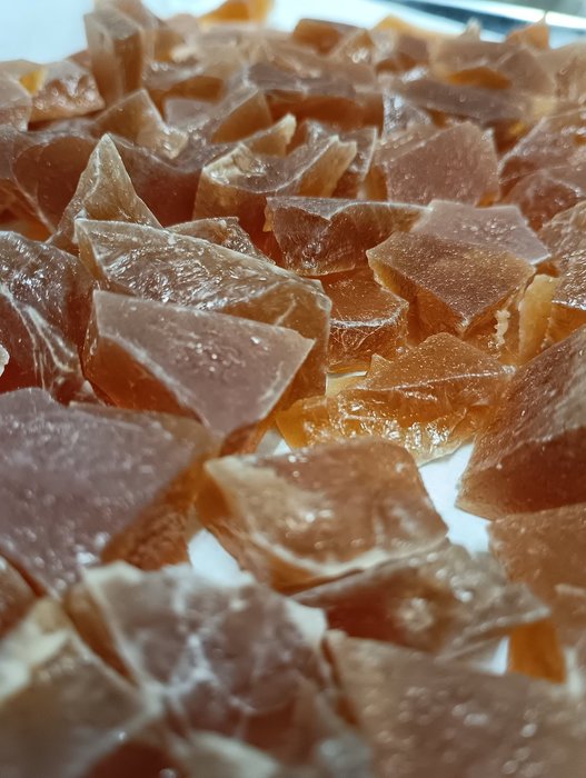 Thumbnail of www-x-com-rikyumushi-status-1989615372082057410