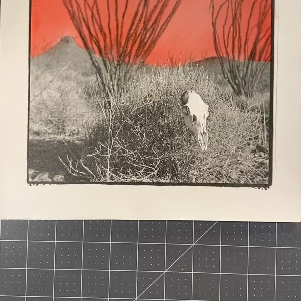 Thumbnail of www-instagram-com-p-cyi-gi0o0md 3