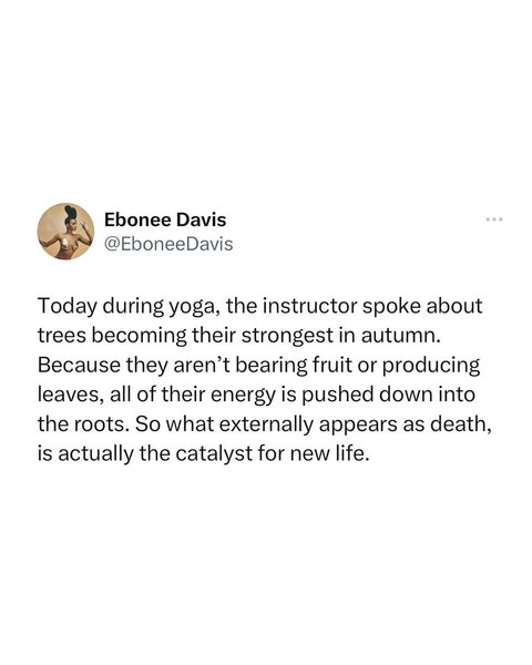 Thumbnail of p-cyla0ctux55 0