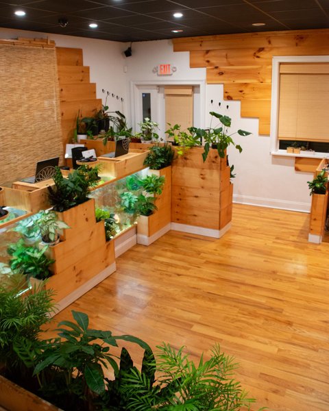 Thumbnail of c8-zixyjsls-3221879a3db84ba1 3