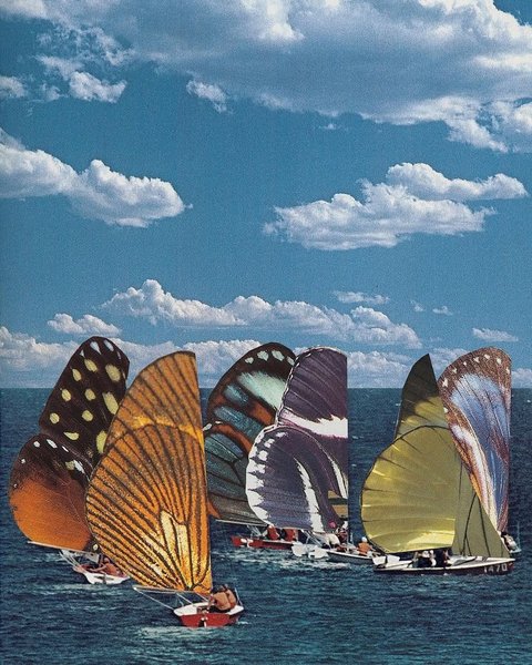 Thumbnail of p-czvt73gkjsy-bb54764b653e477f 0