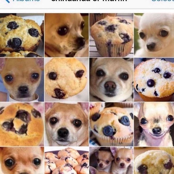 Thumbnail of p-c0ypyrnsih 5