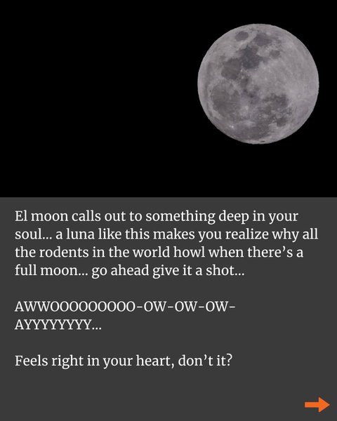 Thumbnail of p-chsqvq4jf31-32530bf265144c6e 4