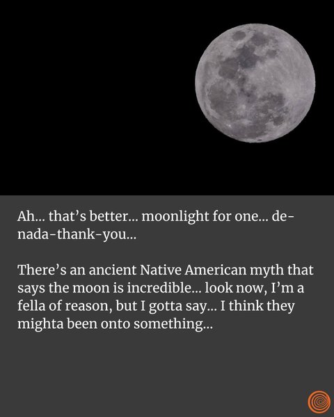 Thumbnail of p-chsqvq4jf31-32530bf265144c6e 7