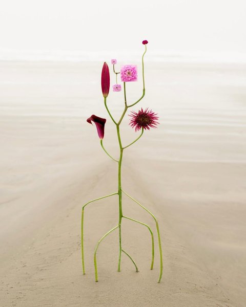 Thumbnail of www-instagram-com-p-c0wk5wdr1b2 0