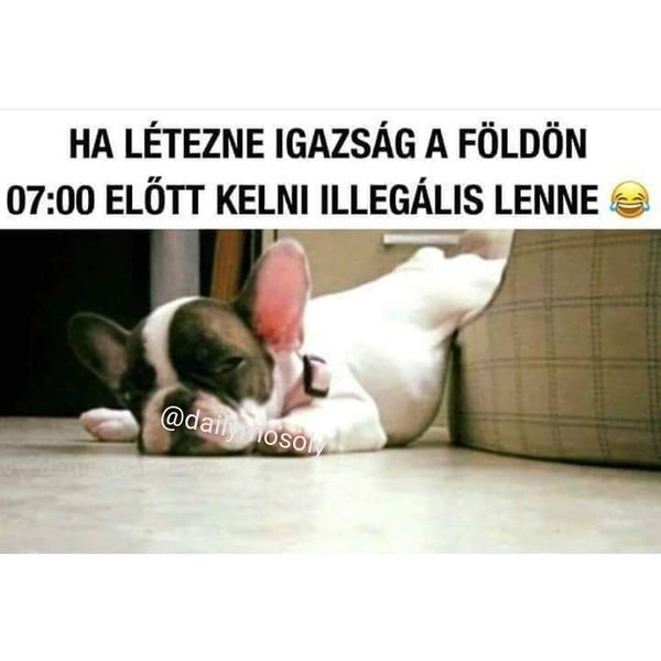 Thumbnail of p-bp3zpcuahl2-32d4a5a2f6834be4 1