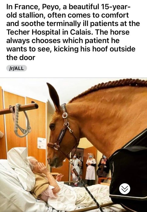 Thumbnail of www-x-com-charlubby-status-1399426827081367556-32f352e6c08c4705